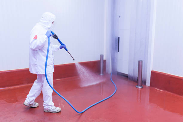 Best Sidewalk and Walkway Pressure Cleaning in Briggs, OK